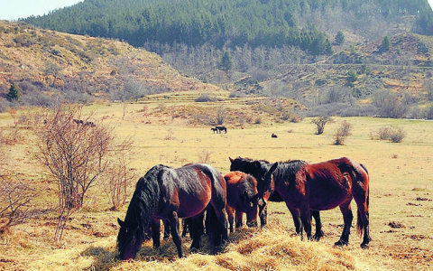 Marzo ricco di eventi nelle Valli del Parco dell’Aveto