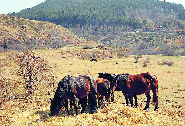 Marzo ricco di eventi nelle Valli del Parco dell’Aveto