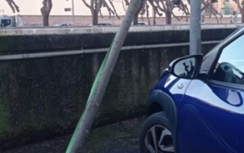 Rapallo, Carranante critica la Giunta per il verde pubblico