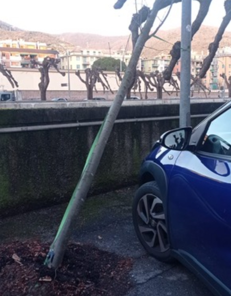 Rapallo, Carranante critica la Giunta per il verde pubblico