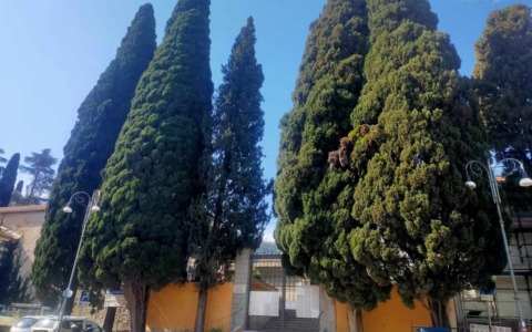 Santa Margherita Ligure avvia i lavori di ristrutturazione al cimitero centrale