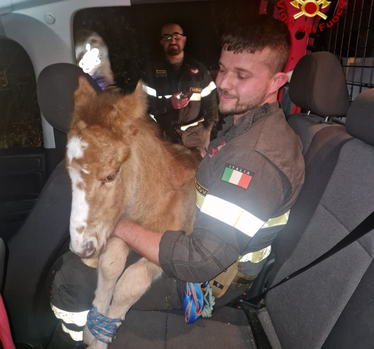 Vigili del Fuoco salvano un puledro selvaggio in difficoltà a Sori