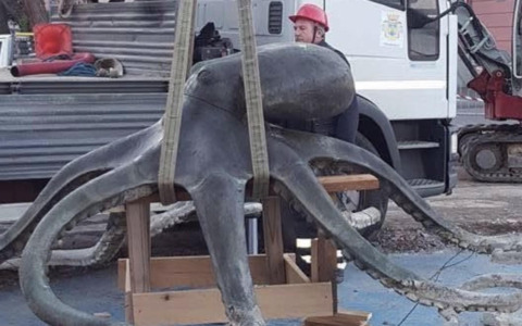 A Rapallo torna il Polpo, ma si accende la polemica