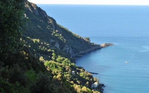 Camogli, chiusura temporanea del sentiero per Punta Chiappa per motivi di sicurezza