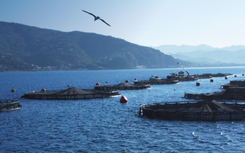 Cgil, Cisl e Uil: «Aqua de Ma, preoccupazione per i lavoratori»