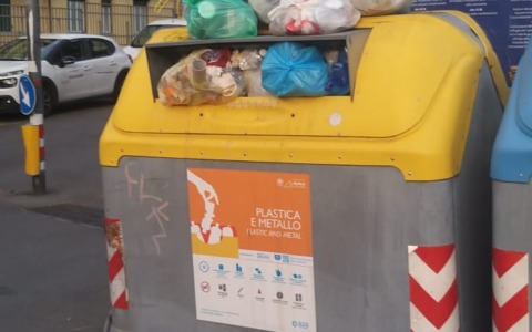 Cinghiali abbattuti, il Comitato Torrente San Francesco denuncia la gestione del Comune di Rapallo