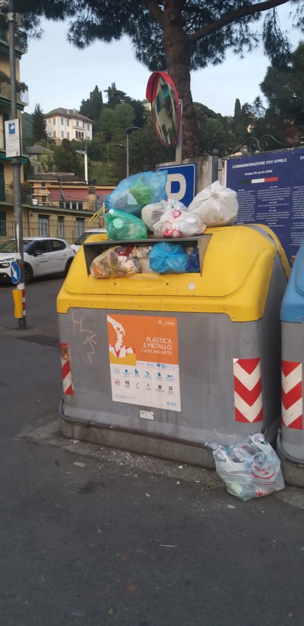 Cinghiali abbattuti, il Comitato Torrente San Francesco denuncia la gestione del Comune di Rapallo