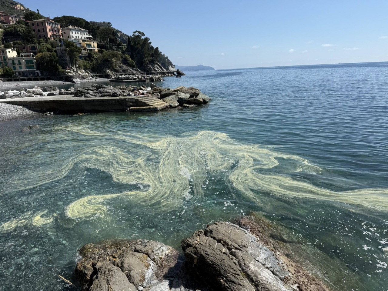 Denunce di inquinamento a Zoagli: si tratta di polline