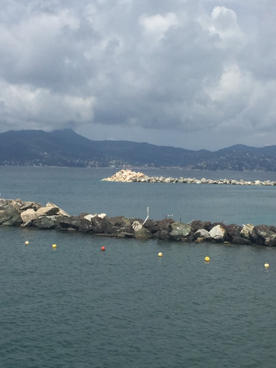 Impegno Comune e Vola Chiavari contestano i nuovi pennelli