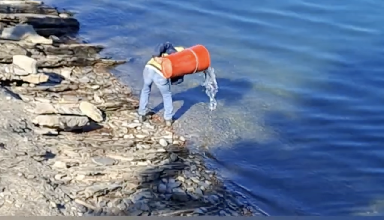 Pasqua a Giacopiane: immesse trote di grandi dimensioni fino a 3 chili