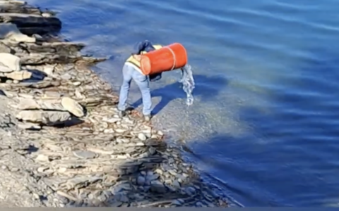 Pasqua a Giacopiane: immesse trote di grandi dimensioni fino a 3 chili
