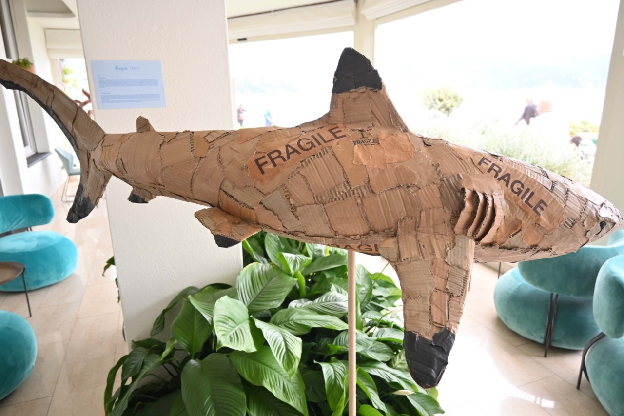 ‘Wild Waste’: l’arte di Raul Orvieto in dialogo con l’ambiente a Santa Margherita