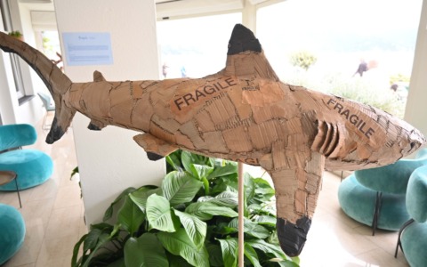 ‘Wild Waste’: l’arte di Raul Orvieto in dialogo con l’ambiente a Santa Margherita