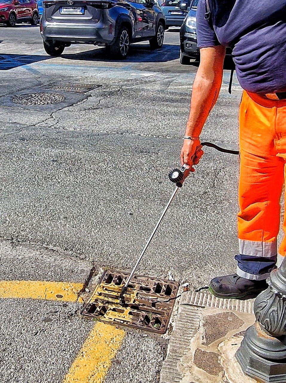 Avvio del trattamento larvicida a Lavagna per le zanzare