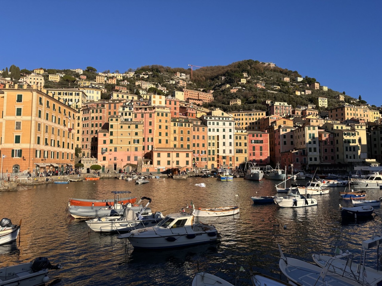 Camogli ospita seminari per scoprire l’Intelligenza Artificiale