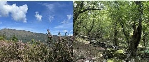 Inaugurazione del nuovo anello escursionistico a San Colombano il 9 maggio