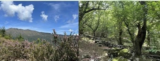 Inaugurazione del nuovo anello escursionistico a San Colombano il 9 maggio