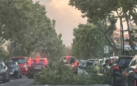 Intense raffiche nel Tigullio, mareggiata e disagi sulla costa