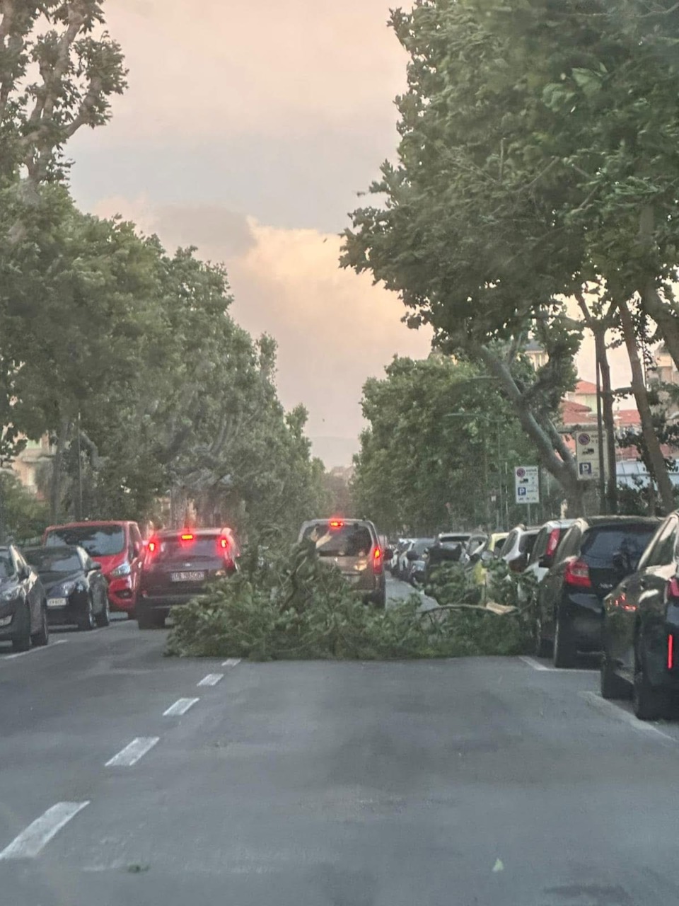 Intense raffiche nel Tigullio, mareggiata e disagi sulla costa