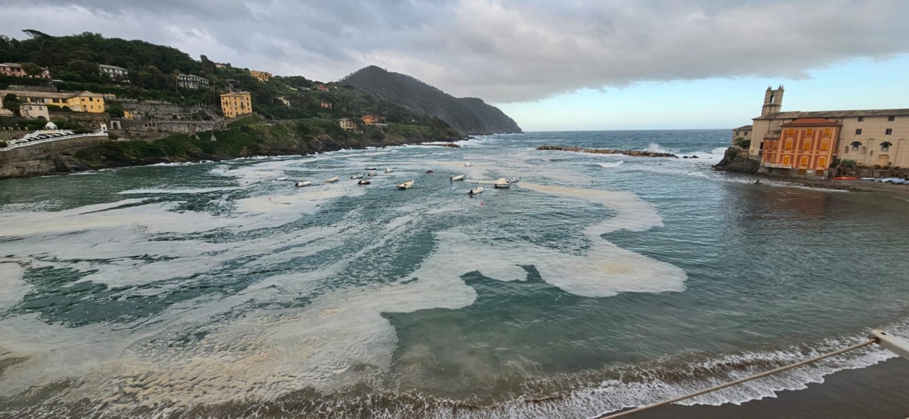 La Baia del Silenzio si tinge di giallo: il mare infuso di polline