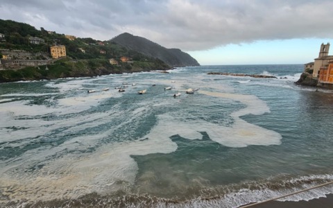 La Baia del Silenzio si tinge di giallo: il mare infuso di polline
