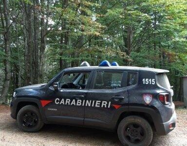Rapallo, bonifica immediata a San Maurizio di Monti: il sindaco interviene