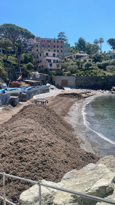 Recco: lavori sulla spiaggia dei Frati sospesi per la Festa della Focaccia