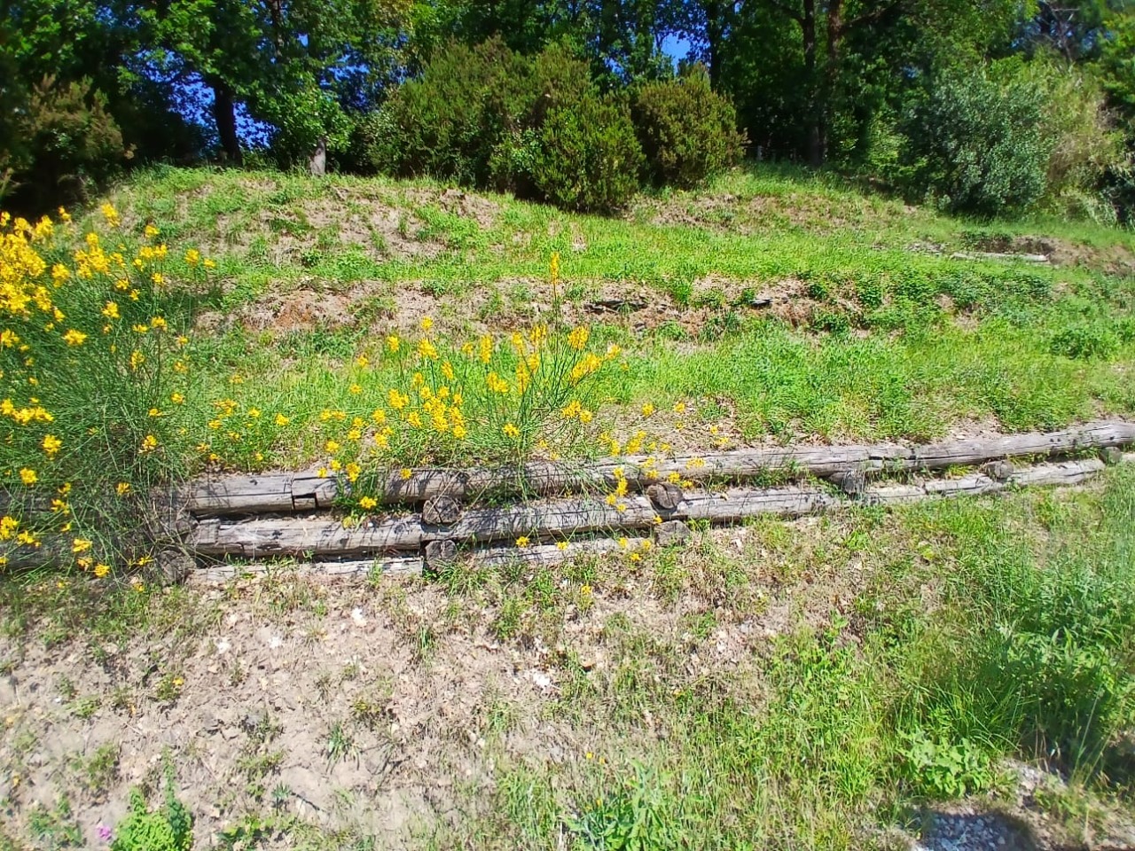 Sestri Levante, al Parco Montepagano nasce un’oasi fiorita per api e impollinatori