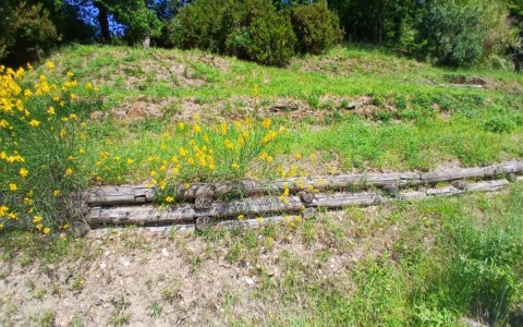 Sestri Levante, al Parco Montepagano nasce un’oasi fiorita per api e impollinatori