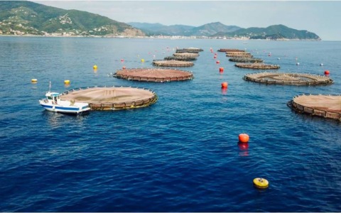 Coldiretti: Importante il ritorno delle competenze sulla maricoltura in Regione Liguria