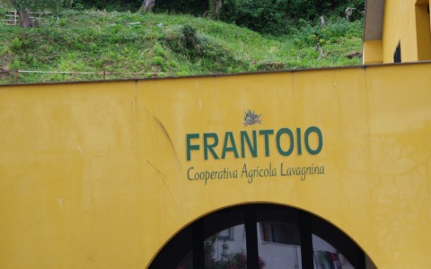 Cooperativa Agricola Lavagnina: assemblea dei soci il 24 giugno