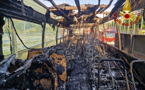 Incendio di un bus turistico sulla A12: nessun ferito tra i passeggeri