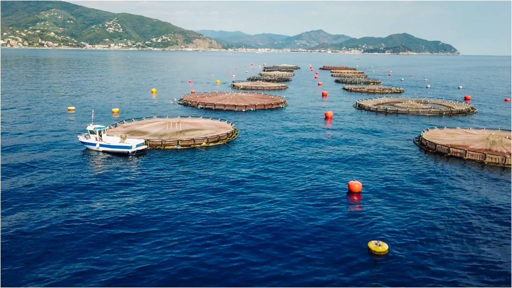 Lavagna: il Tar annulla il diniego del Comune alla concessione marittima di Aqua