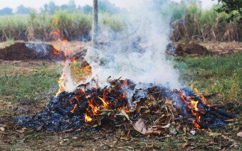 Lavagna, regolamentazione abbruciamenti di residui agricoli dal 1° giugno