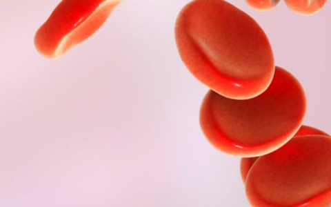 Lunedì 29 giugno presentazione dell’ambulatorio ematologico della Asl 4