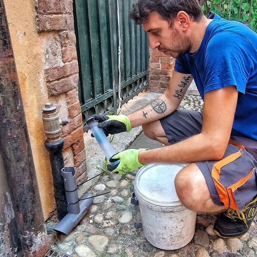 Monitoraggio di roditori e blatte a Lavagna