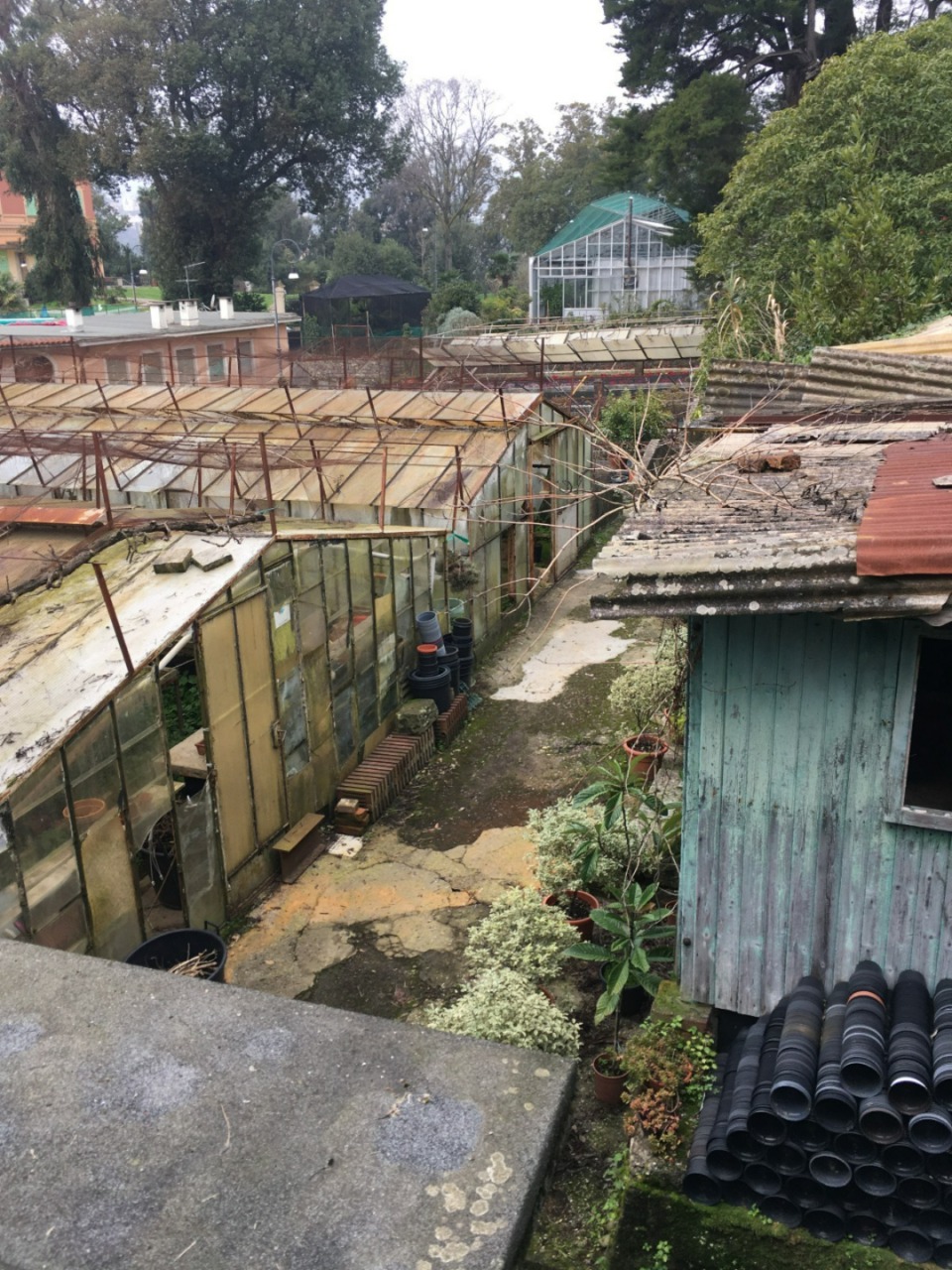 Nuovo asilo nido al Parco Casale di Rapallo, approvata la variante al progetto