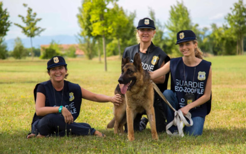 OIPA avvia la selezione di nuove guardie zoofile in Liguria