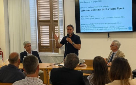 Presentato il primo stralcio del progetto “Terrazza Olivetata del Levante Ligure”