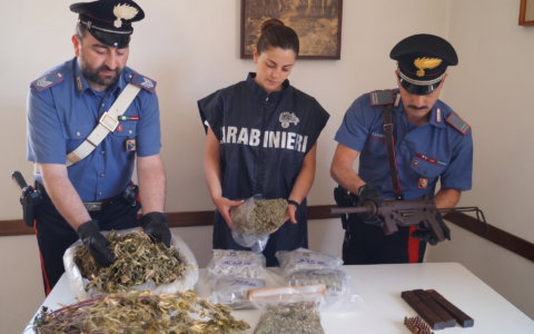 Scoperta serra di marijuana e mitraglietta: arrestato un 63enne