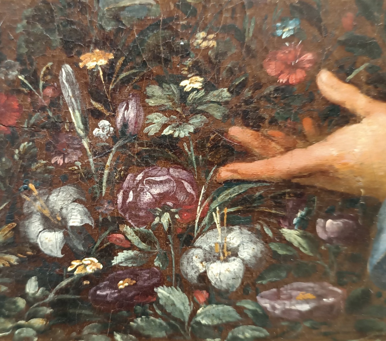 Visite gratuite al Museo Diocesano di Chiavari per le feste di Nostra Signora dell’Orto