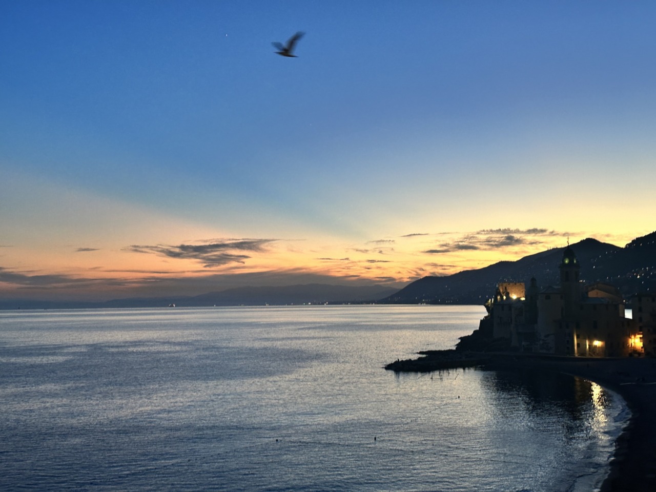 Camogli: Arrivano due sedie semoventi per disabili per l’accesso al mare