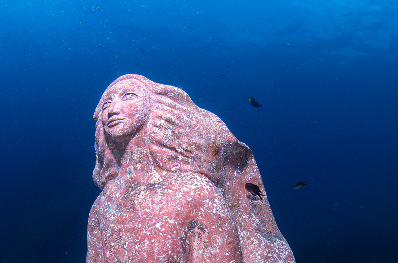 Collaborazione tra Comune di Zoagli e Carabinieri Subacquei per la Madonnina del Mare