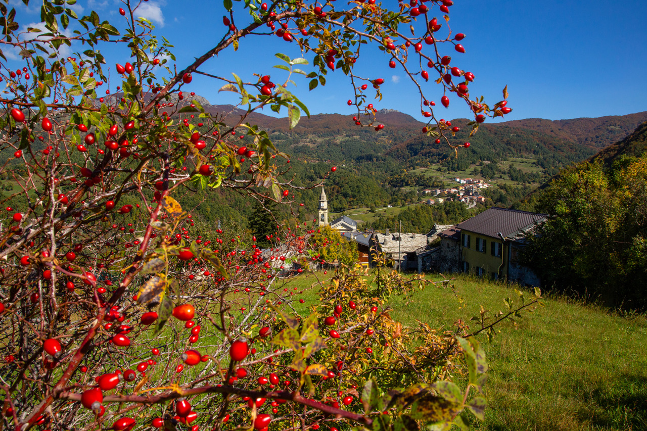 Eventi imperdibili a Santo Stefano d’Aveto nel weekend
