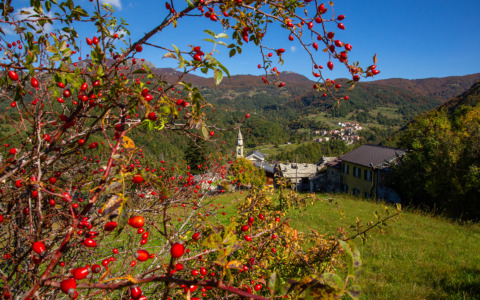 Eventi imperdibili a Santo Stefano d’Aveto nel weekend
