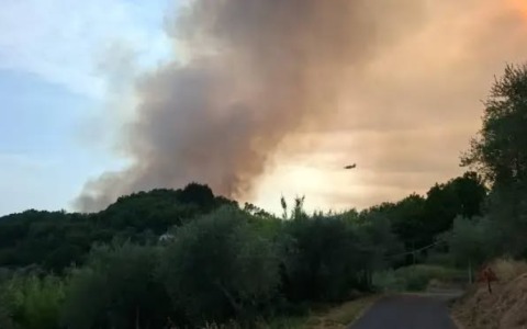 Incendio esteso in alta Val di Vara
