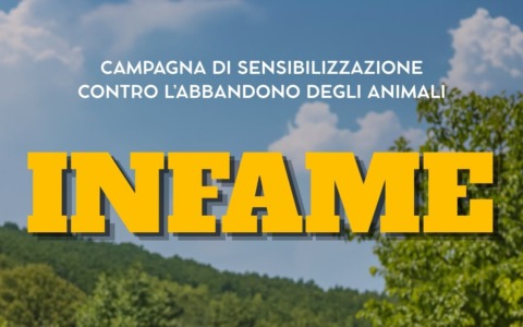 “Infame”, iniziativa social contro l’abbandono animale