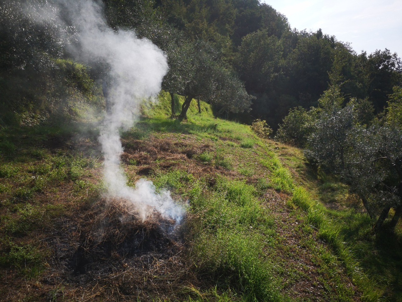 Inizio dello Stato di Grave Pericolosità per incendi boschivi dal 4 luglio: i Carabinieri Forestali intensificano i controlli