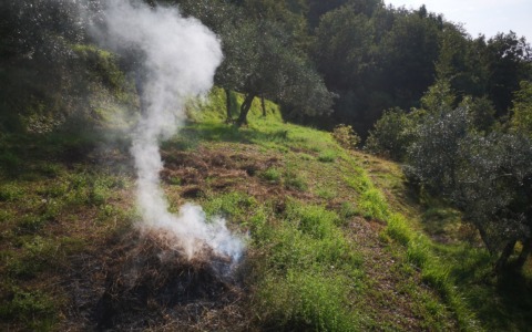 Inizio dello Stato di Grave Pericolosità per incendi boschivi dal 4 luglio: i Carabinieri Forestali intensificano i controlli