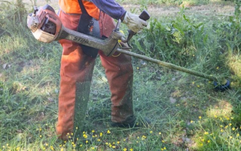 Recco avvia la campagna di sfalcio del verde per luglio